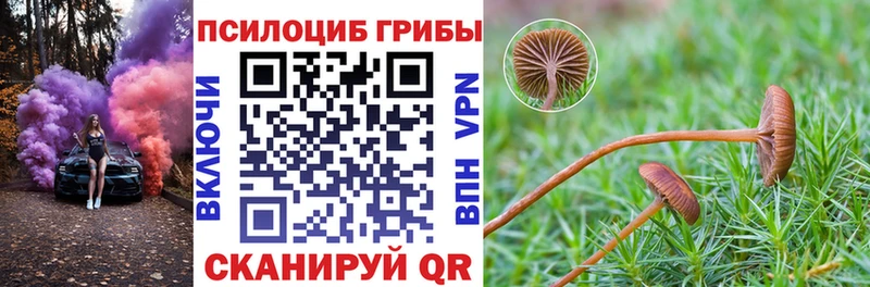 Купить где  Белокуриха  Псилоцибиновые грибы прущие грибы 